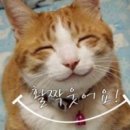 총명