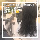 수지 성복역 가성비 좋은 기장추가 없는 미용실 예쁜머리의 정석 클리닉 후기