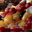 벼랑끝의 금융위기 -- 폰지사기 그리고 세계경제위기와 달러붕괴 이미지