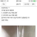 브로콜리 dna 추출 후 광학현미경으로 관찰하면 염색사가 보이나요? 이미지