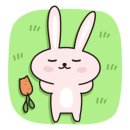 세종지물 이미지