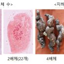 대건업 중부매일