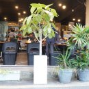 차돌이식당 이미지