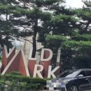 비발디투어주