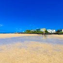 광양 (제주시청(아라방면)/방면) 이미지