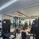 웰니스피티스튜디오 이미지