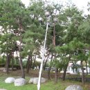 남구-064 이미지