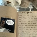 데이온커피