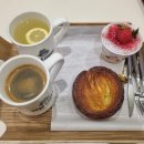 도그 인 시티 이미지