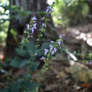 대공원역 이미지