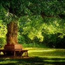 푸른행정사사무소 이미지