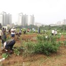 실버농장 이미지