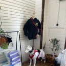 제주펫스쿨 | 개같이 벌어 개한테 쓰자 [ 제주애견호텔 추천 제주펫스쿨&amp;펫마마푸드 ]