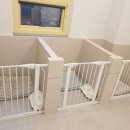 본애견미용실 이미지