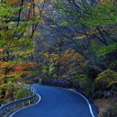 유평초교 이미지