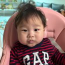 176 | 176일 아기 이유식 시작 첫날 후기｜저녁에 시작해도 괜찮을까?