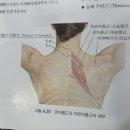 폼롤러필라테스 이미지