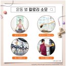 슈가복싱 이미지