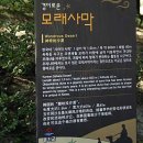 우이도 풍성사구 이미지