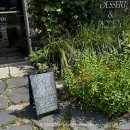 망고스틸 이미지