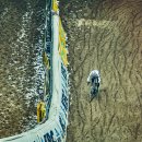 (주)인더스프링 이미지