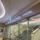 롯데프레시역삼3점 | 블리스라운드 롯데백화점 잠실점 캐슬플라자 | 잠실롯데백화점맛집 빵지순례 잠실 카페 추천