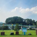[충주시][관광명소][업사이클] 쇠불리마을카페허씨(캠핑장)