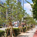 해운대 해변로 이미지