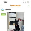 신공항동물병원 이미지