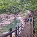 원지농원 | 지리산 대원사 계곡 트레킹