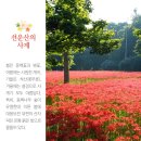 전북 고창 선운산 도립공원 이미지