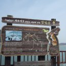 진월망덕포구 먹거리타운 이미지