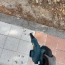 운흥초등학교 이미지