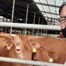 석천농장 이미지