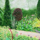 닥터베어풋신효상마취통증의학과의원 이미지