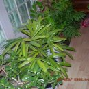 순희의정원 이미지