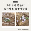 [7세 4세 봄놀이] 개미집, 봄꽃나물밥 만들기 | 덕동산 유아숲체험원, 식빵굽냥 캣카페