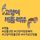 캣 | 고양이 용품 : 캣돌 냥틀선반 후기