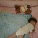 약사세요 약국 이미지