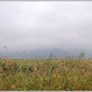 완도카센타 이미지