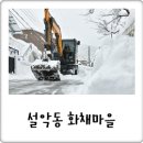 1m 눈폭탄 폭설 내린 속초, 설악동 화채마을