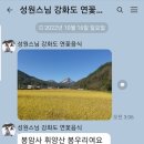 20일째 21일째 도보뉴스 (톡 멈춤 제보) 연박사 성원스님 도보 중 이미지