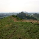 금오름 가는 길 이미지