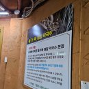 거북막국수 | 돌거북식당. 막국수 위 메밀육전이 특이했던 포천현지인맛집