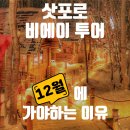 사계플라워팜바이오 | 삿포로 비에이 투어 12월 날씨와 다녀온 후기