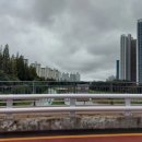 GS25 청룡점 이미지