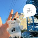 송평로-2 이미지