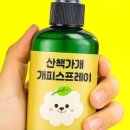 산책가개 이미지