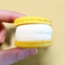 수제 마카롱 달지 않은 저당도 냠몽몽 뚱카롱