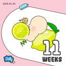 하리자동차용품 | 임신8주~12주기록/입덧,먹덧/갑상선기능저하증 약복용/임신확인서/태아보험&자동차보험태아특약가입하기